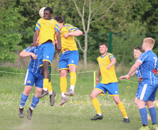 Kingfishers warm up for cup final with 8-0 win