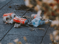 Join Monmouth litter pick on July 6