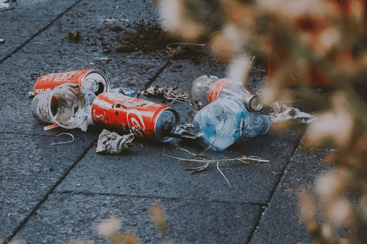 The council’s environment committee had previously decided on April 22 not to go-ahead with a large scale community litter-pick in Wellington.