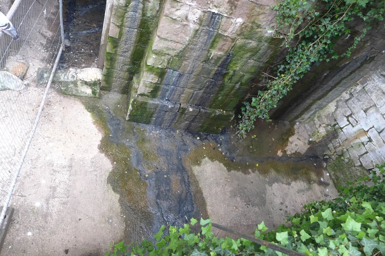 The sewage leaking from under Priory Street