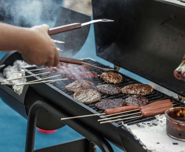 Dog owners warned: BBQ foods that could harm pets this bank holiday