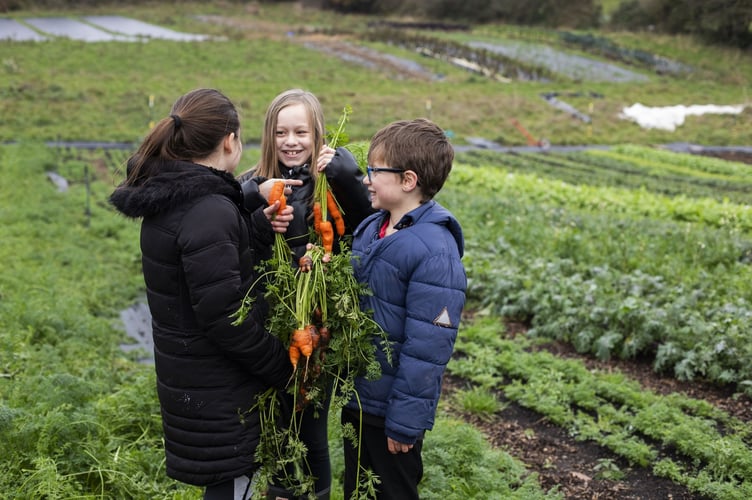 MCC Food Partnership 