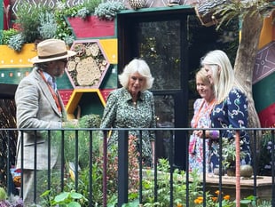 Bees for Development wins silver gilt