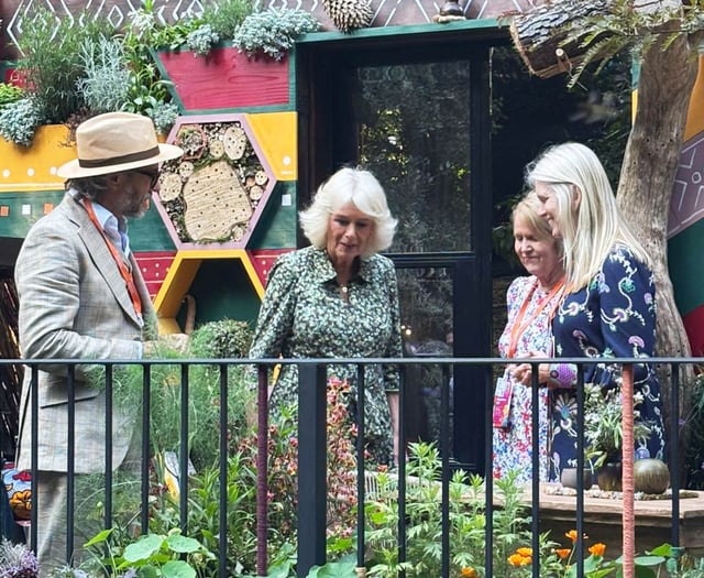 Bees for Development wins silver gilt