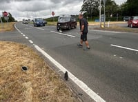 Urgent safety measures demanded after A40 Raglan crash