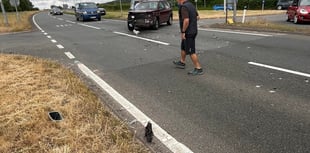 Urgent safety measures demanded after A40 Raglan crash