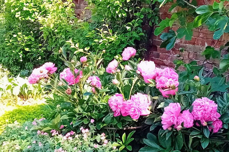 Cornwall House was one of the gardens that took part