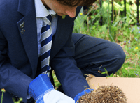 Monmouth school rescues and homes hedgehog