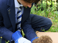 Monmouth school rescues and homes hedgehog
