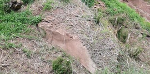 Geologists criticise National Highways over A40 landslides