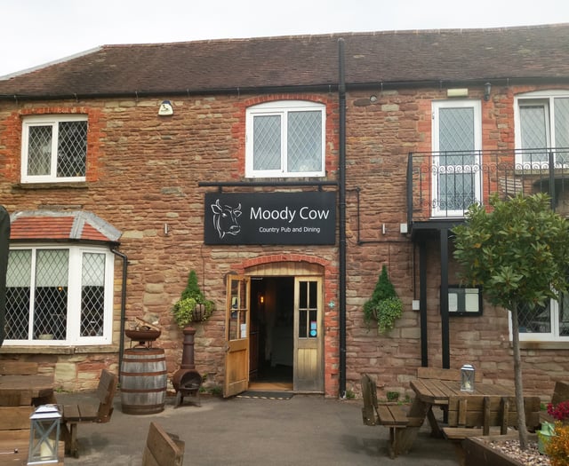 The Moody Cow's memorable pub name accolade
