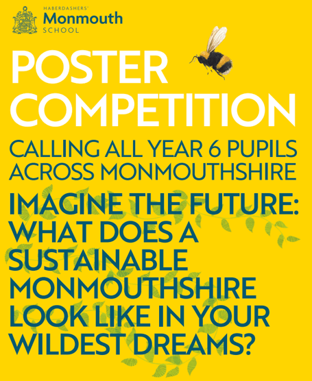competition poster 