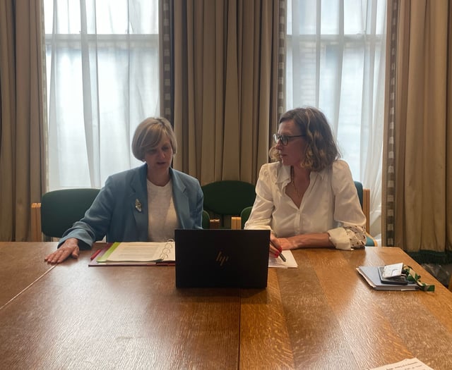 Monmouthshire demands urgent Severn Bridge solution