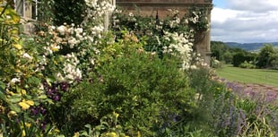 Treowen Gardens Open for NGS Event