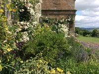Treowen Gardens Open for NGS Event