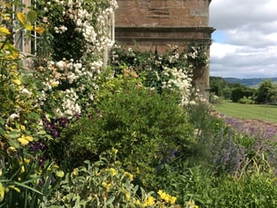 Treowen Gardens Open for NGS Event