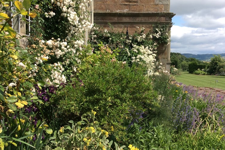 Grade 1 listed Treowen opens its  garden