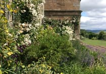 Explore Treowen Gardens at NGS Event