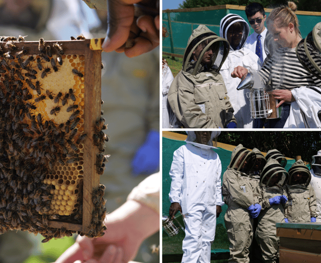 Monmouth School students learn beekeeping