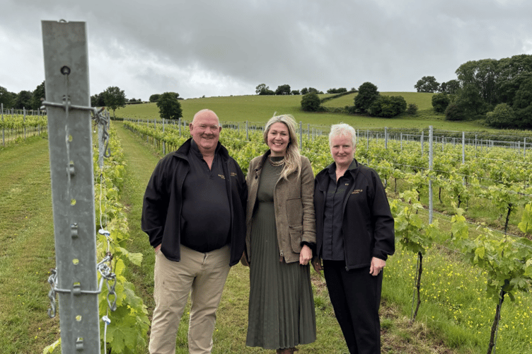 Photos of Laura Anne Jones at White Castle Vineyard.