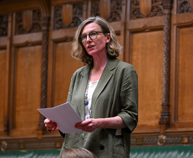 Fookes calls for UK action on Gaza