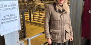 Farmers Slam UK's Bluetongue Curbs