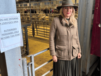 Farmers Slam UK's Bluetongue Curbs
