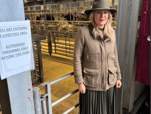 Farmers Slam UK's Bluetongue Curbs