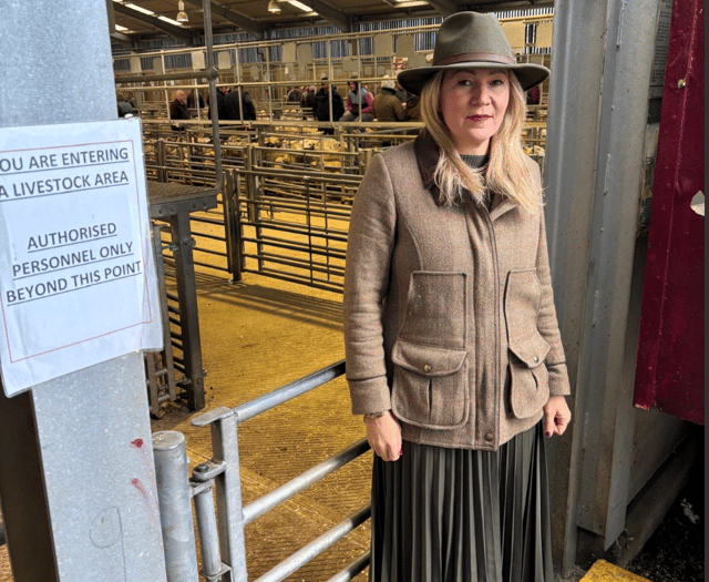Farmers Slam UK's Bluetongue Curbs