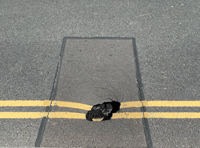 Dangerous hole on Monnow Street
