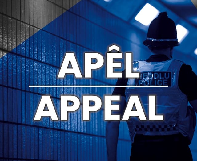 Man arrested over Chepstow sexual assault