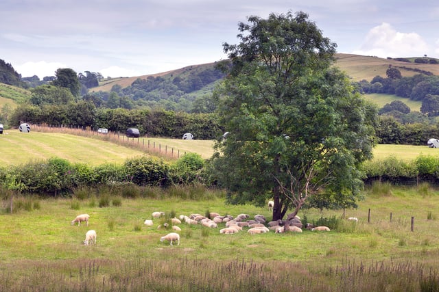 Reaction to new-look sustainable farming scheme