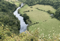 Beechenhurst's new forest trail with WWF begins