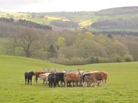 Welsh Govt Unveils Sustainable Farming Scheme