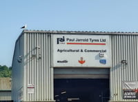 Seagull terrorises Monmouth Tyre Fitters