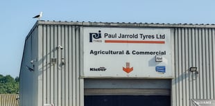 Seagull terrorises Monmouth Tyre Fitters