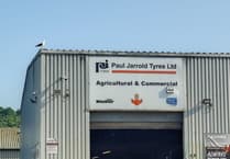 Aggressive Seagull targets workers at Paul Jarrold Tyres