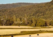 Bat habitat halts Monmouthhousing plan