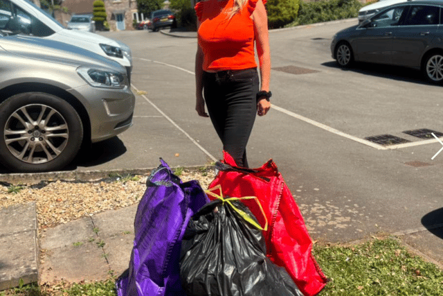 Criticism over Welsh bin collection plan