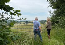 MP caught in backlash against solar farm plans