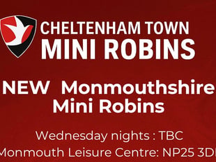 Pro football pathway for youngsters in Monmouth