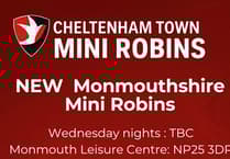 Young players could see football success with Monmouthshire Mini Robins