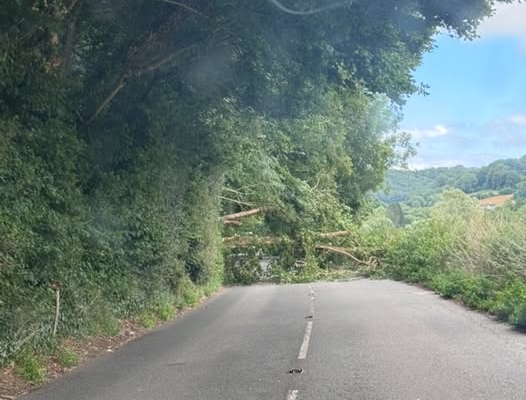 Tree closes Monmouth to Redbrook Road