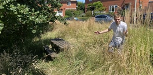 Concern over areas left to grow wild and neglected.