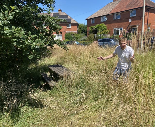 Concern over areas left to grow wild and neglected.