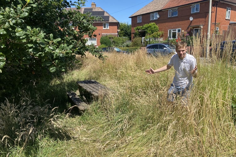The overgrown area in Oak Crescent