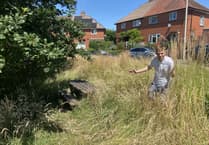 Concern over areas being left to grow wild and neglected.