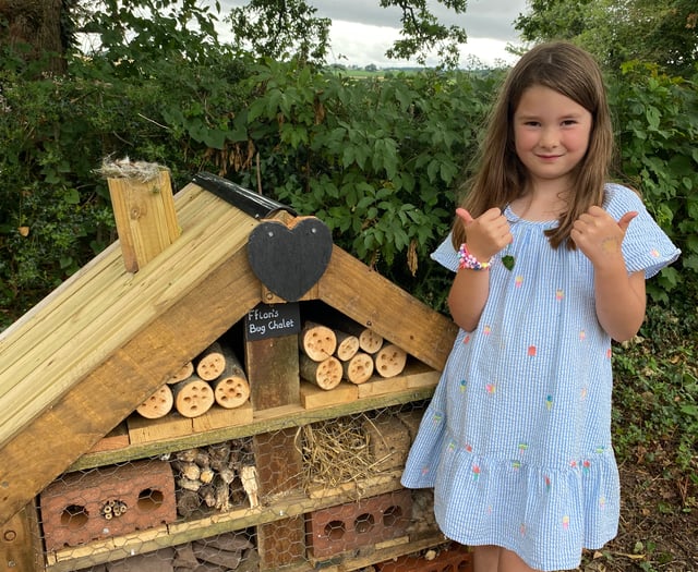 Buzzing with excitement as bug hotel design unveiled at  church