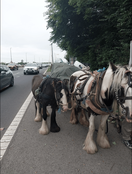 *ONE TIME USE ONLY- don't use again