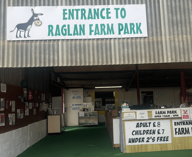 Summer Fun at Raglan Farm Park